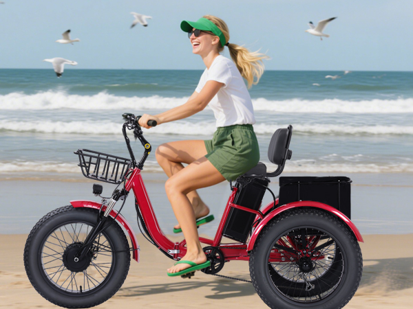 Electric Tricycle for Adults 20