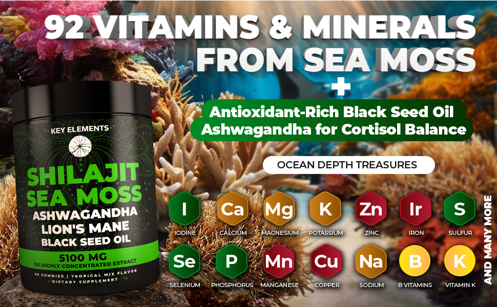 shilajit himalayan shilajut pure shilajit sea moss gummies seamoss gummies sea moss supplement