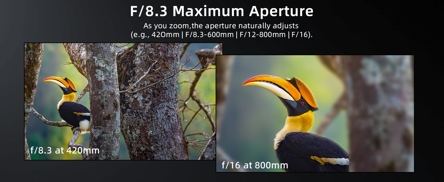 Text reads 'F/8.3 Maximum Aperture'. Three-panel photograph showing colorful toucan birds in natural settings, demonstrating photography techniques.