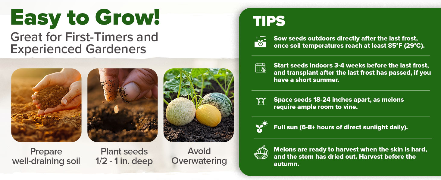 Large manufacture image 5