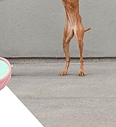 INMINPIN Women and Men Orthopedic Clogs Arch Support Garden Shoes Sandals Slippers with Plantar F...