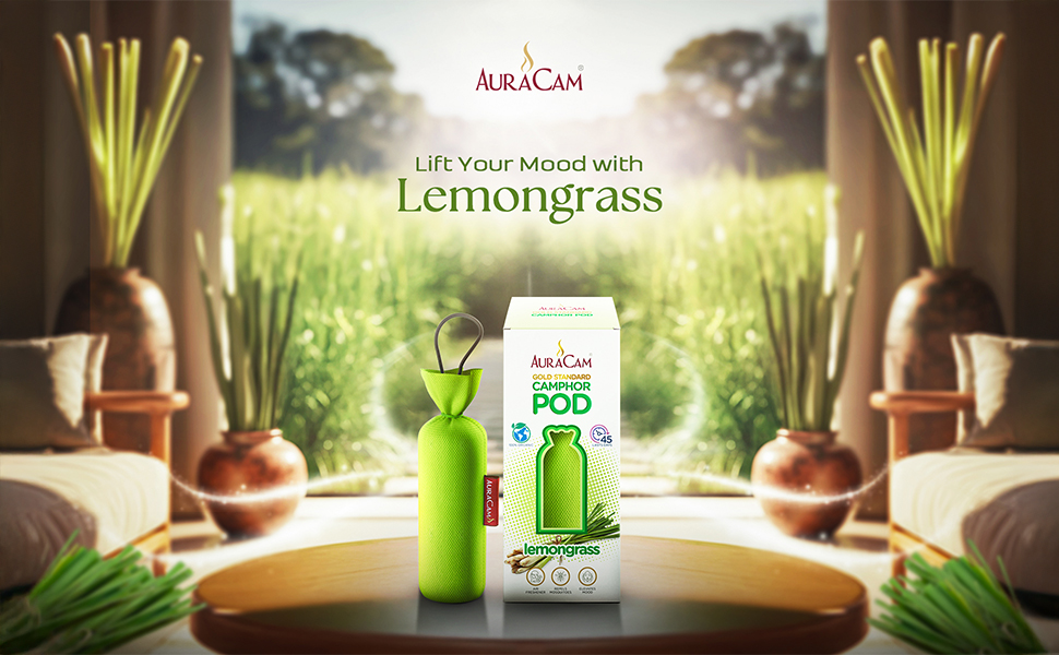 AuraCam Gold Standard Camphor Pod Cone Lemongrass
