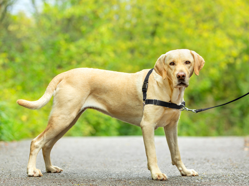 Large manufacture image 3