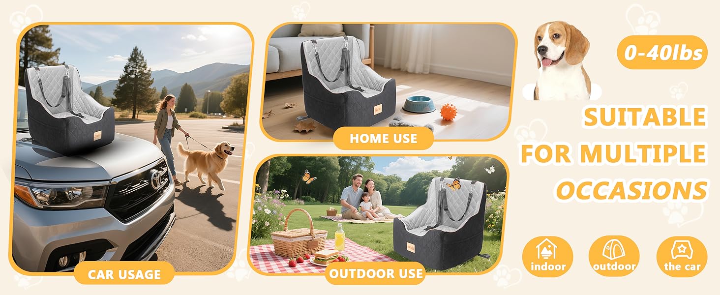 BurgeonNest Dog Car Seat for Small Medium Dogs, Detachable Washable Booster Car Seat for Dogs