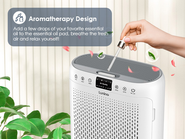 air purifier