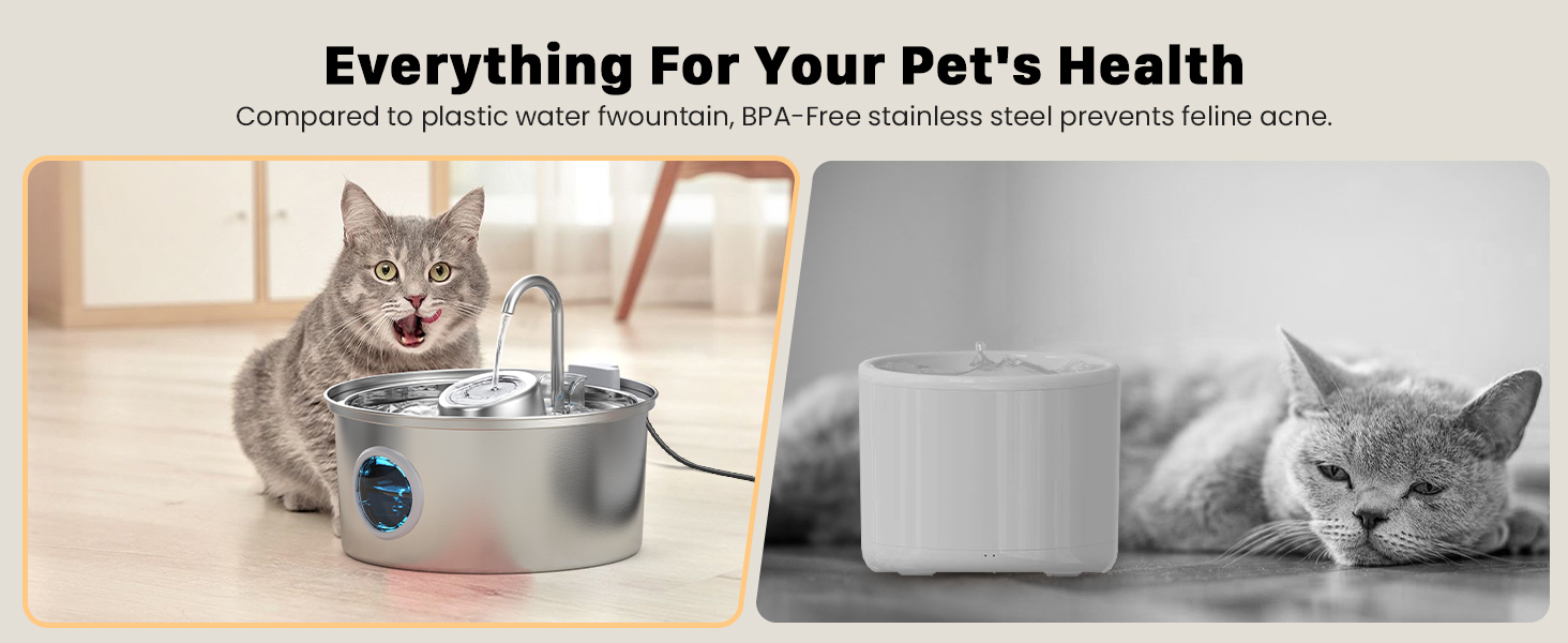 cat water fountain
