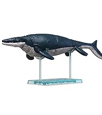 【塗装済完成品】バンダイ　モササウルス　プラモデル よみがえる海生爬虫類「1/32 Imaginary Skeleton モササウルス