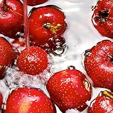 hawthorn,hawthorn berry tea,Hawthorn Fruit Tea