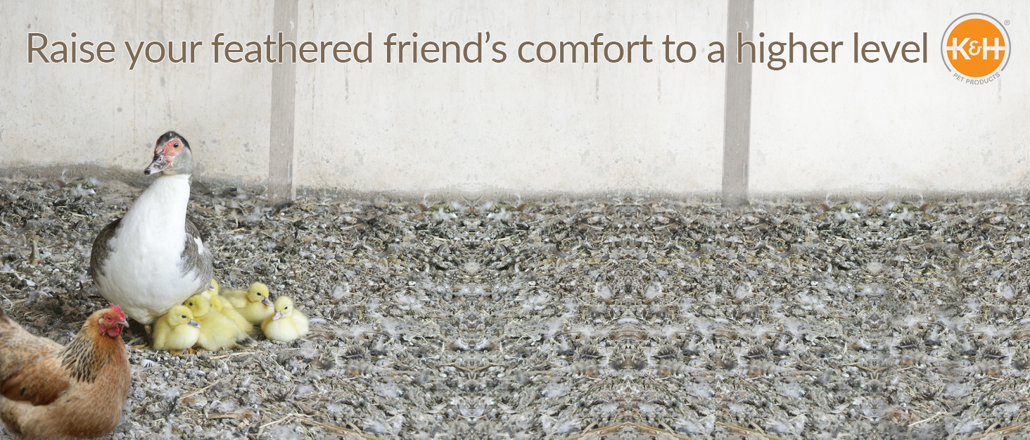 K&H Pet Products Poultry Products