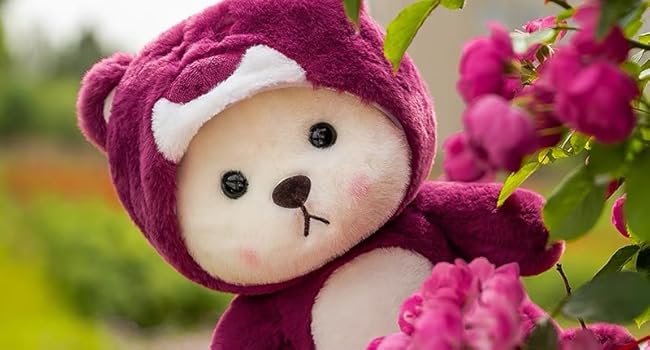 Lotso Cute Strawberry Bear