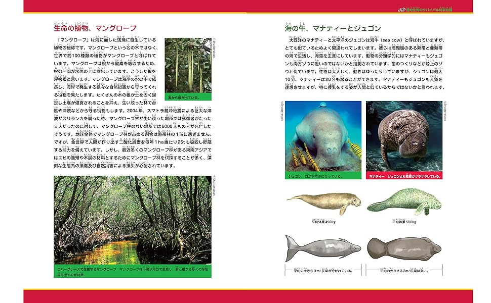 湿地生物のサバイバル (科学漫画サバイバルシリーズ57) | 洪在徹