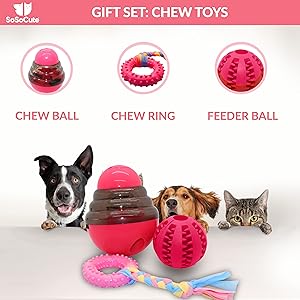 Teething Behavior Puzzle