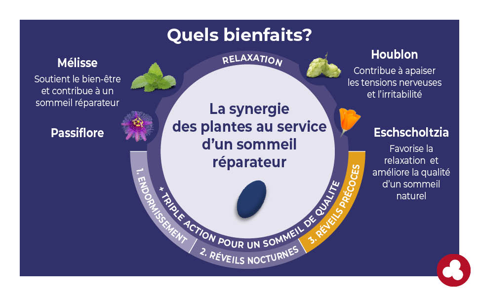 Les bienfaits des plantes de Sleep&Go Mélisse, Passiflore, Houblon