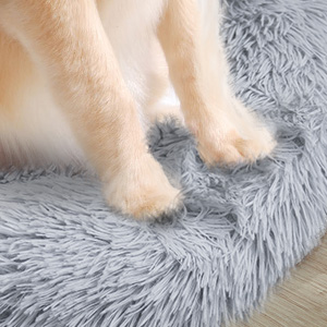 Close-up of light-colored dog paws on a plush gray shag rug or blanket, showing the soft texture of both the fur and the fabric.