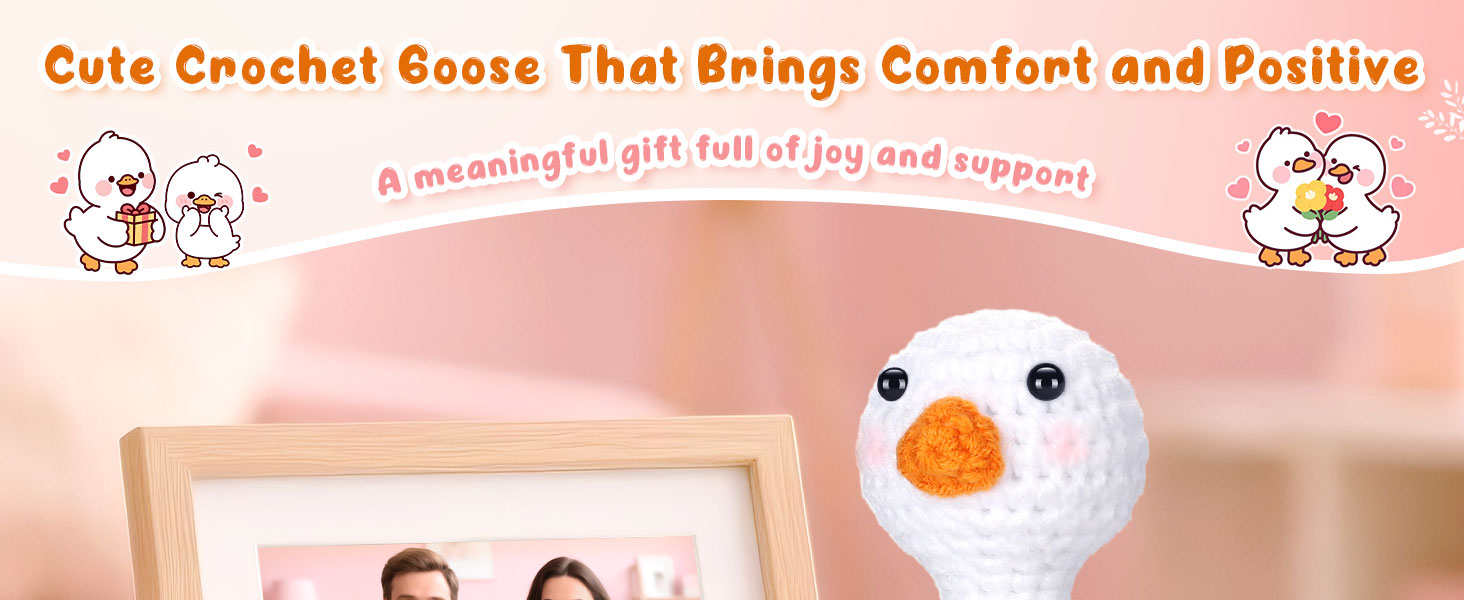 emotional inspirational support crochet goose