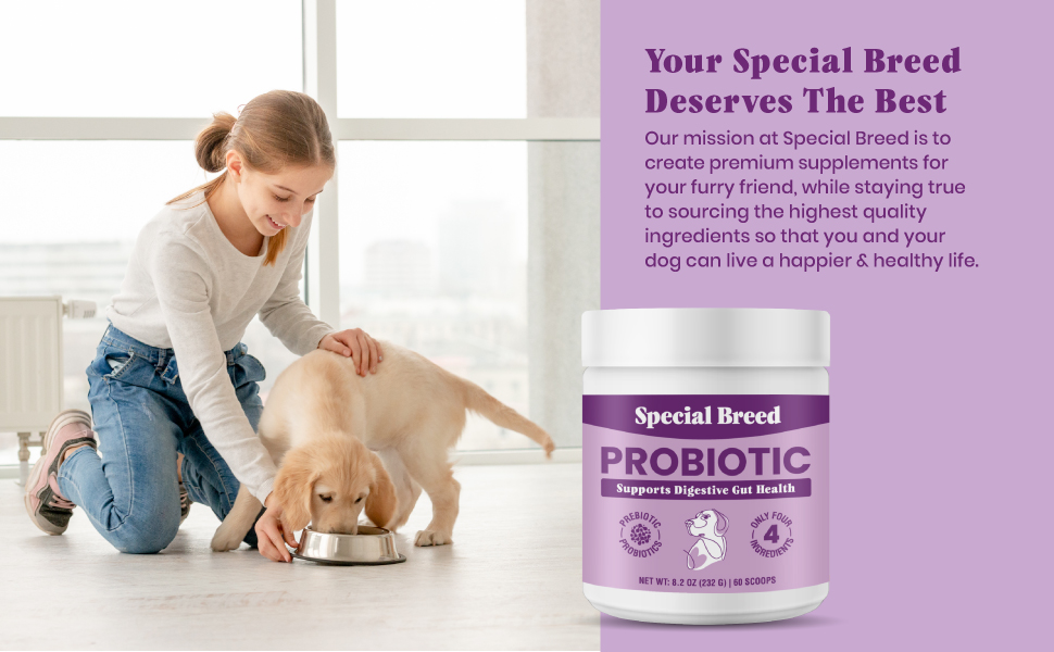 dogs probiotics dog probiotic pet powder native digestive supplement flora daily health poop broth
