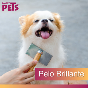 Colageno; Colageno Hidrolizado; Colageno Perro; colageno Gato; Pelo Brillante; Colgeno Hidrolizado