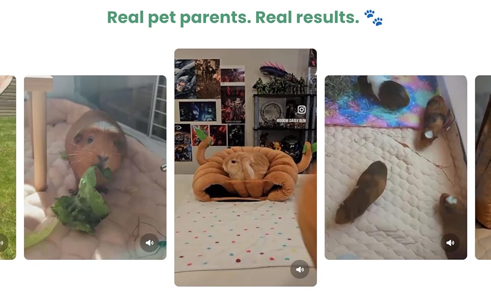 rabbit bedding odor control, ferret nation cage liner, rabbit litter liner, bunny cage mat,