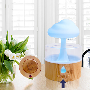 Rain Cloud Humidifier