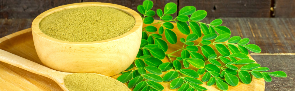 moringa