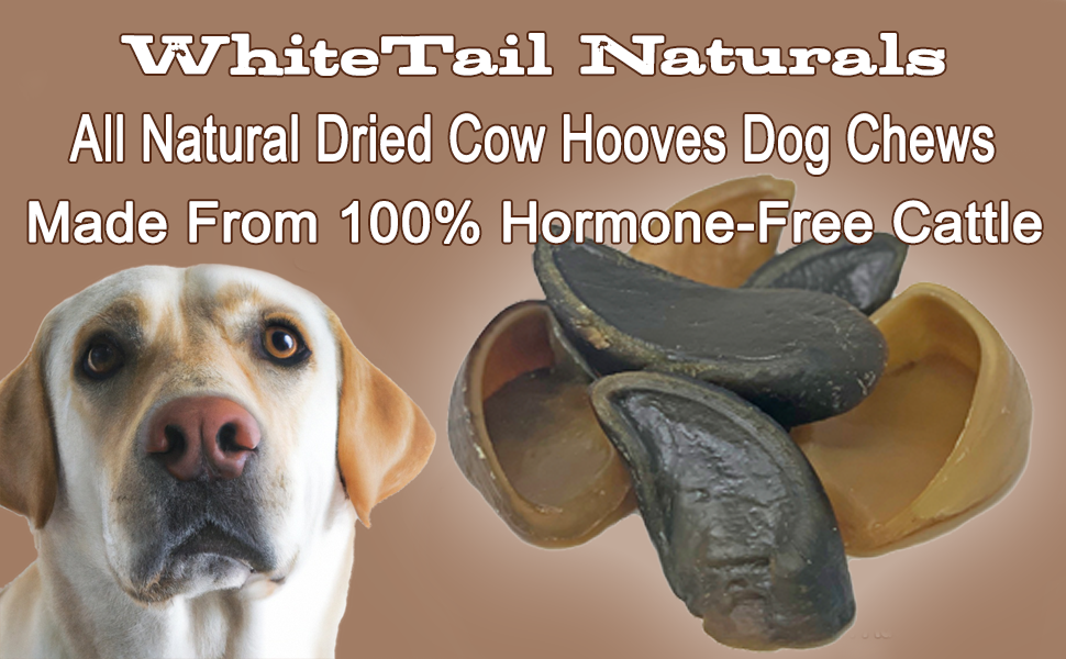 WhiteTail Naturals Cow Hooves for Dogs (6 Pack) Natural