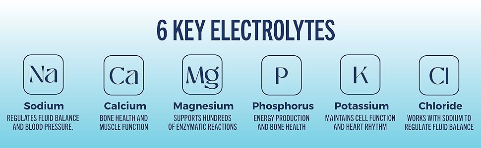 6 Key Electrolytes