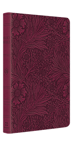 ESV Large Print Value Thinline TruTone Raspberry Floral