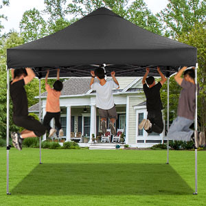 canopy
