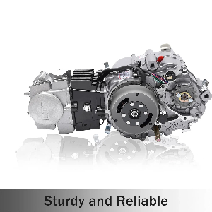 Amazon.com: Liffshsy 140CC 4 Stroke Racing Engine Motor For