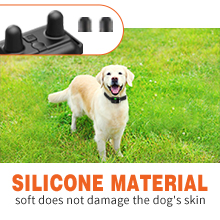 Dog shock collar