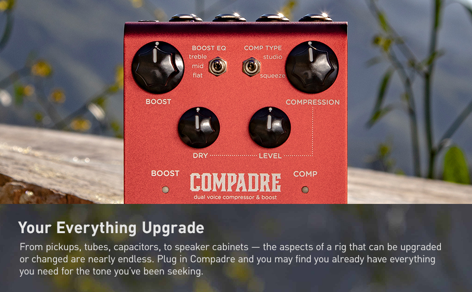 Amazon.com: Strymon Compadre Dual Voice Compressor and Boost