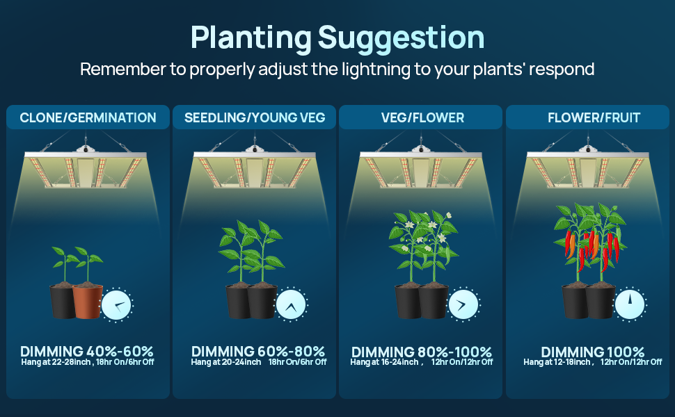 plant light using tips