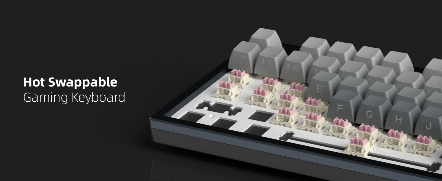 Hot-Swappable Custom Switches