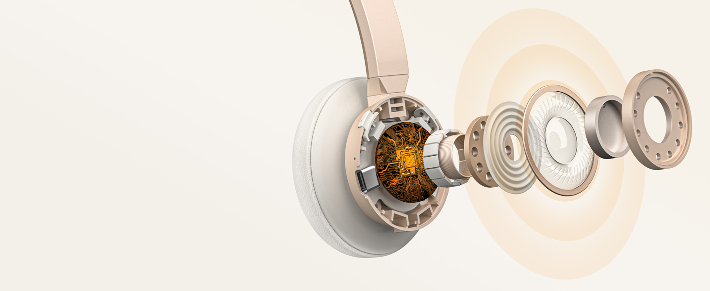 wireless headphones with mic