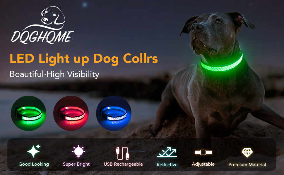 Light Up Dog Collar LED Flashing Dog Collar USB Rechargeab with 2