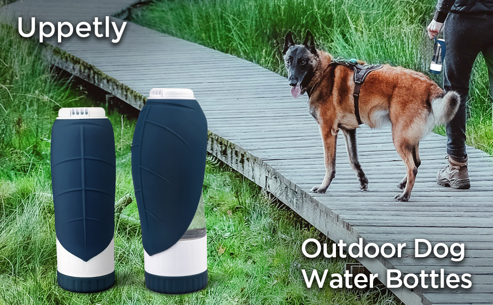 Dog Water Bottle
