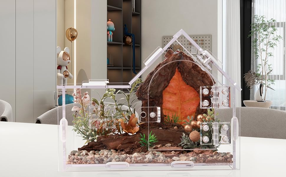 jumping spider enclosure tarantula enclosure jumping spider accessories spider enclosure