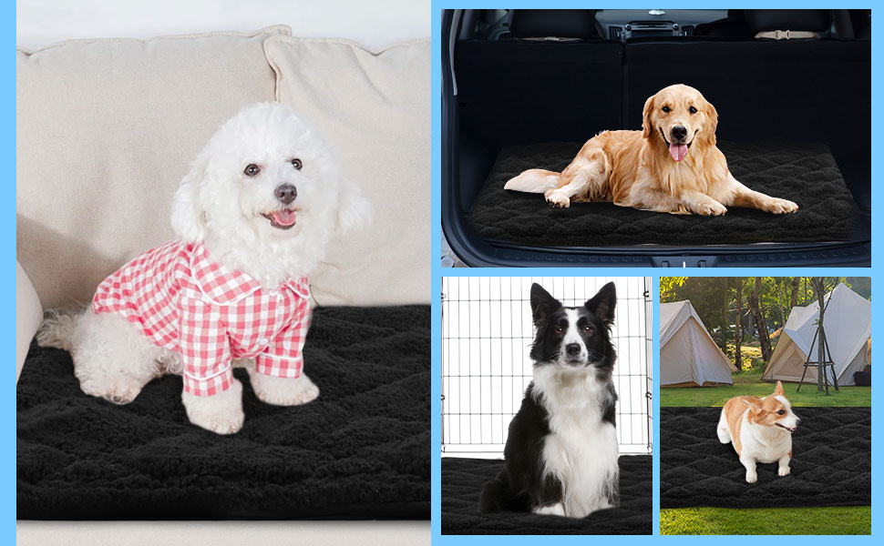 HOMBYS Pee Proof Indestructible Dog Bed for Crate, Reversable Large Chew Proof Durable Dog Pad for Aggressive Chewers, F 701bcbbd D213 458d 9e82 77966f93391f. CR0,0,970,600 PT0 SX970 V1