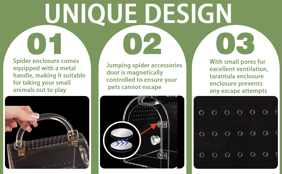 tarantula enclosure accessories arboreal tarantula enclosure jumping spider enclosure accessories