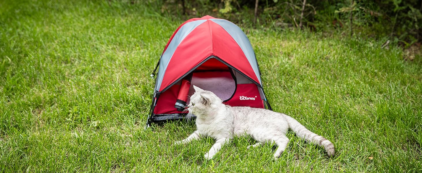 red cat tent