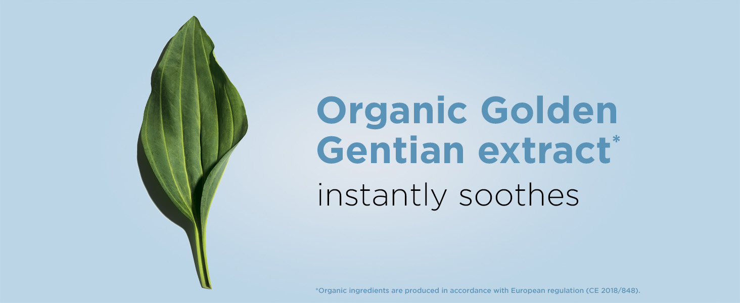 Organic Golden Gentian