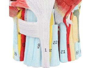 Small manufacture image 2