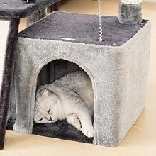 cat cave