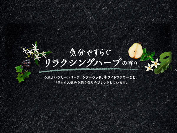 【値下げ】premium SPA FOAM コンディショナー14個セット 値下げ】premium SPA FOAM コンディショナー14個セット セグレタ