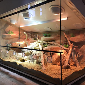 spider terrarium hideout cave