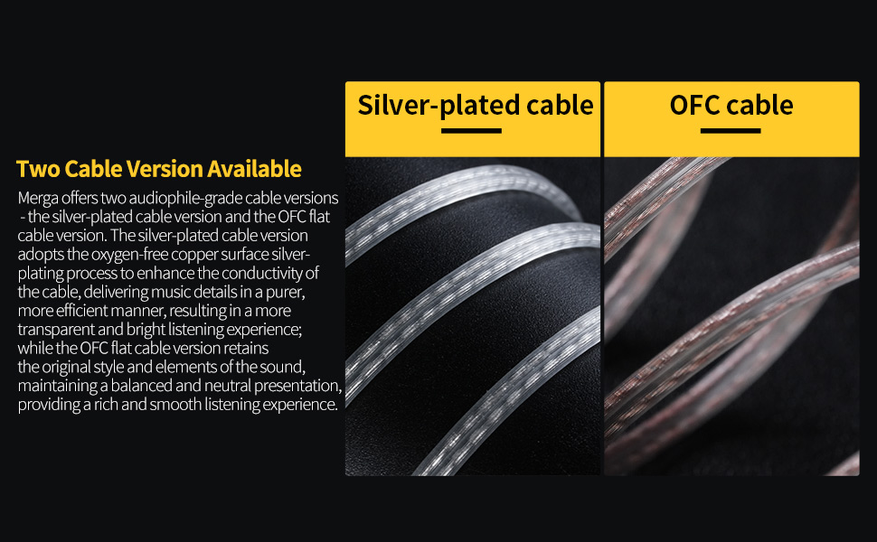 Two Cable Version Available