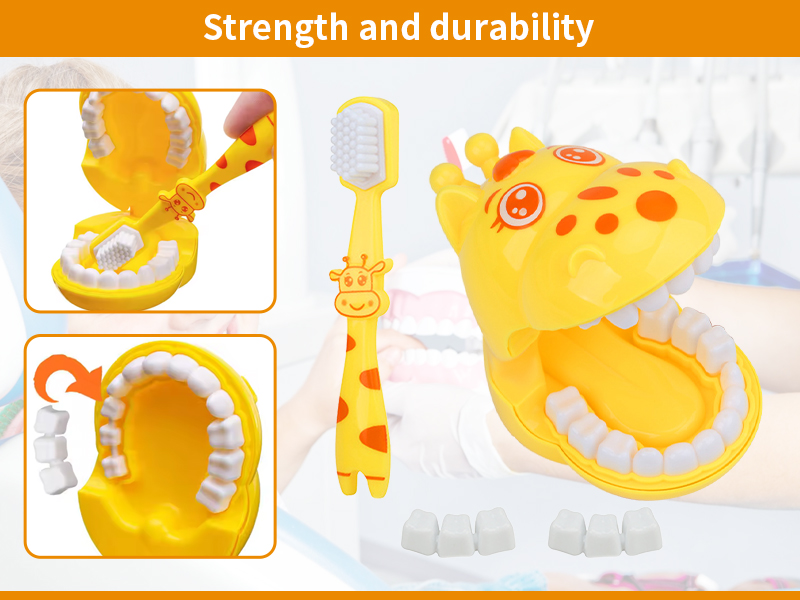 Early Education Dental Toy Set