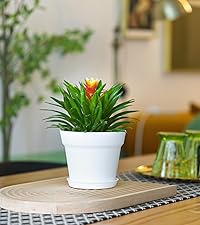 Amazon.co.jp: T4U 植木鉢 プラスチック プランター 10点セット