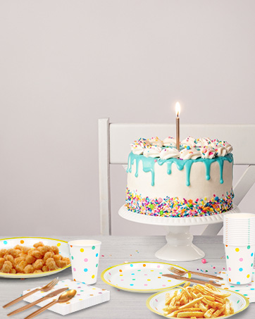 Disposable Plates Set