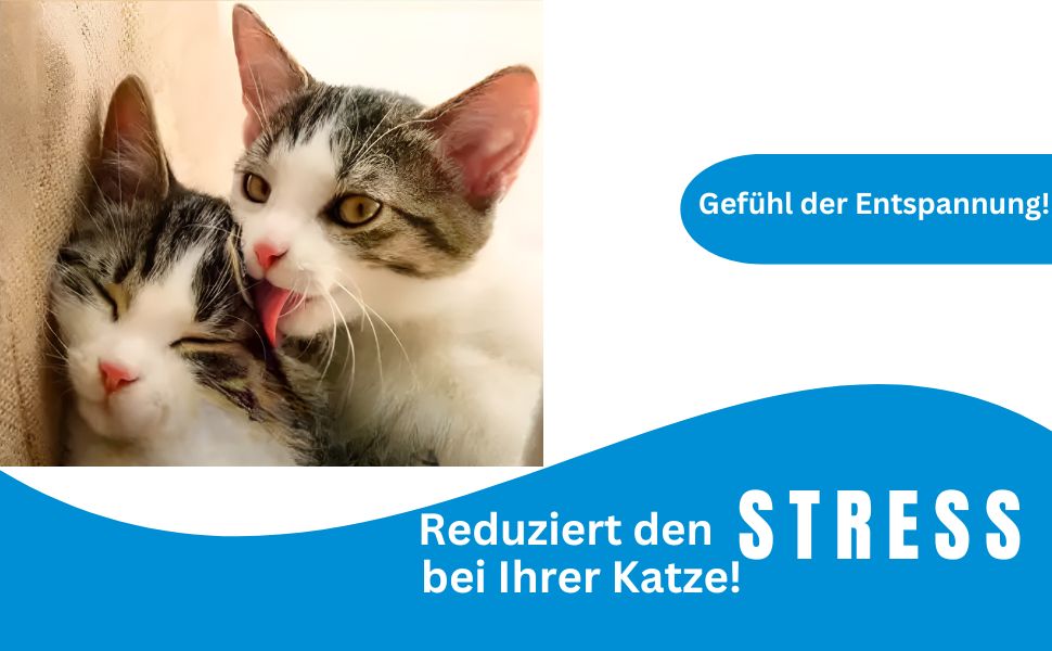 Ideal für die Entfernung von lockerem Schmutz
